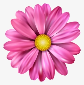 Pink Flower Transparent Image - Flower, HD Png Download, Free Download