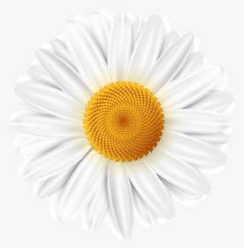 White Flower Clipart Png , Png Download - Portable Network Graphics, Transparent Png, Free Download