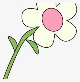 Floral Clipart White - White Flower Clipart, HD Png Download, Free Download