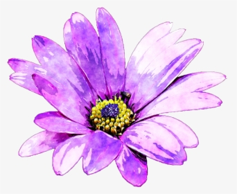 Clip Art Flower Watercolor Painting - Violet Flower In Watercolour, HD Png Download, Free Download