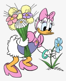 Daisy Clipart Png, Transparent Png, Free Download