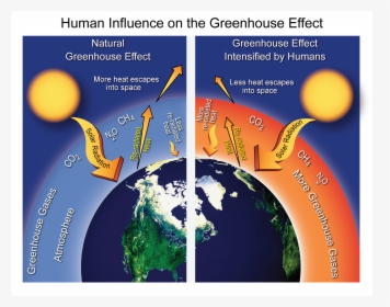 Greenhouse Gases Effect On The Environment, HD Png Download, Free Download