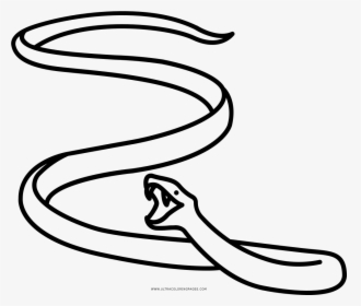 Black Mamba Coloring Page - Line Art, HD Png Download, Free Download