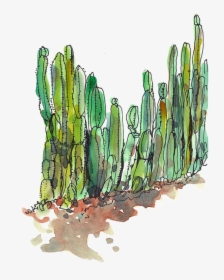 Transparent Desert Cactus Png - Cactus Transparent, Png Download, Free Download