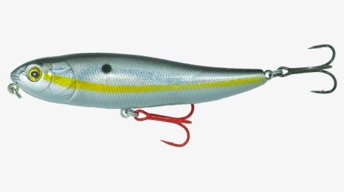 Bait Fish, HD Png Download, Free Download