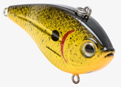 Swellfish, HD Png Download, Free Download