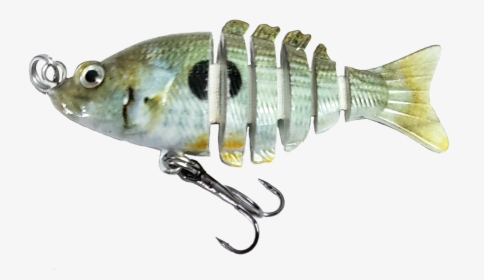 Perch, HD Png Download, Free Download