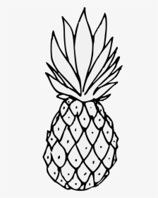 Transparent Pineapple Drawing Png - Heraldic Pineapple, Png Download, Free Download