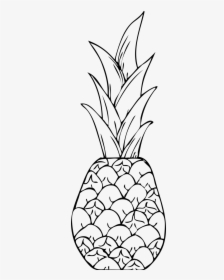 Crown Clipart Pineapple - Pineapple Clip Art, HD Png Download, Free Download