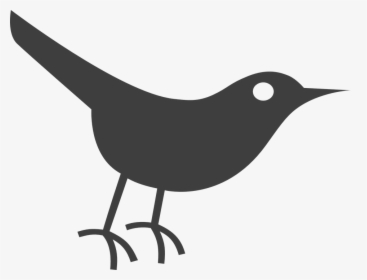 Bird, Gray, Black, Crow, Twitter - Bird Icon Png Free Download, Transparent Png, Free Download