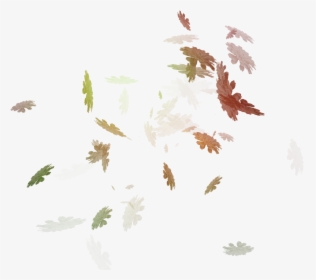 #fall #falling #flying #leaves#freetoedit - Illustration, HD Png Download, Free Download