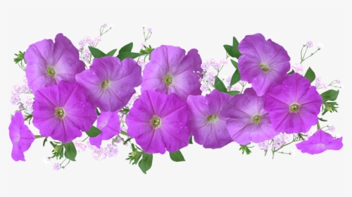 Petunias, Arrangement, Floral, Decoration - Arranjo Floral Foto Png, Transparent Png, Free Download