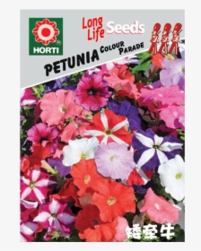 Petunia Pianta, HD Png Download, Free Download