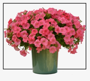 Flowerpot, HD Png Download, Free Download