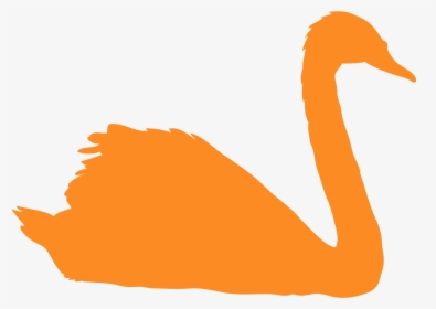 Yellow Swan, HD Png Download, Free Download