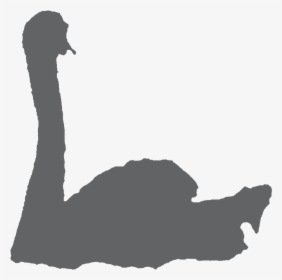 Swan In Water - Silhouette, HD Png Download, Free Download