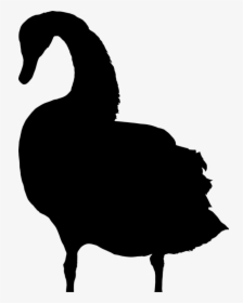Bird Drawing Silhouette Black Swan Computer Icons - Geese Clipart Silhouette Png, Transparent Png, Free Download