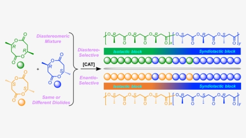 Diagram, HD Png Download, Free Download