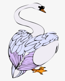 Swan Clipart Angsa - Clipart Coloured Swans, HD Png Download, Free Download