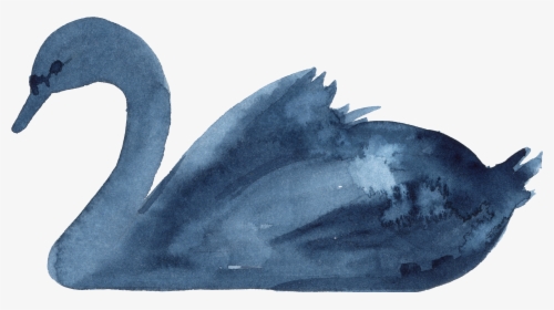 Black Swan, HD Png Download, Free Download