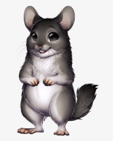 Chinchilla Png, Transparent Png, Free Download