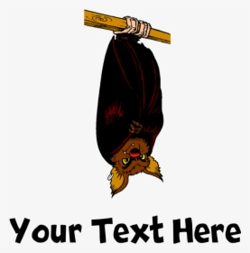 Bat Hanging T-shirt - Cartoon, HD Png Download, Free Download
