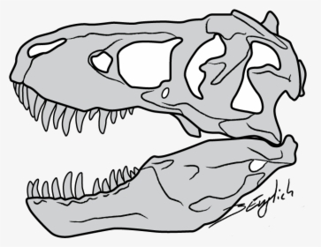 Clip Black And White Clipart Face T Rex Free For Download - Tyrannosaurus Rex Skull Drawing, HD Png Download, Free Download