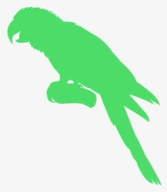 Macaw Silhouette, HD Png Download, Free Download