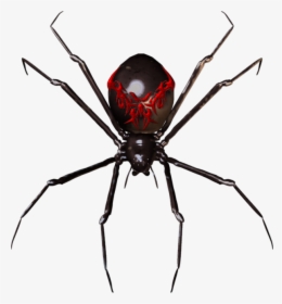 Spider Widget Clip Art - Black Widow Spider Transparent, HD Png Download, Free Download