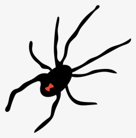 Black Widow Spider Clipart , Png Download - Membrane-winged Insect, Transparent Png, Free Download