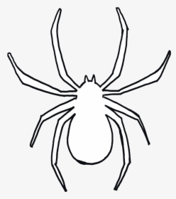 Spider Clipart Drawn Free On Transparent Png - Spider Black And White Clipart, Png Download, Free Download