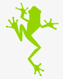 Etf Frog Green - Eat The Frog Fitness, HD Png Download, Free Download