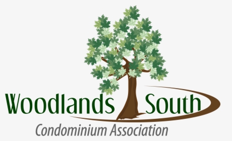 Woodlands South - Tree, HD Png Download, Free Download