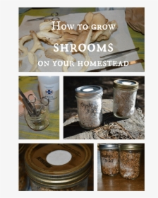 How To Grow Shrooms Joybilee Farm - Grow Shroom, HD Png Download, Free Download