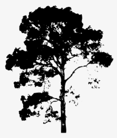 Vector Tree Png - Tree Psd, Transparent Png, Free Download
