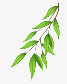 Olive Branch Clipart Vector - Transparent Background Tree Branch Transparent, HD Png Download, Free Download