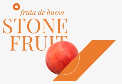 Transparent Fruta Png - Fruit, Png Download, Free Download