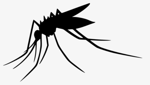 Transparent Bee Silhouette Png - World Mosquito Day 2019, Png Download, Free Download