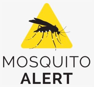 Transparent Mosquito Silhouette Png - Mosquito Alert, Png Download, Free Download
