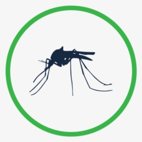 Lokalpestcontrol Service Icons Mosquitos Dark - Shoot Rifle, HD Png Download, Free Download