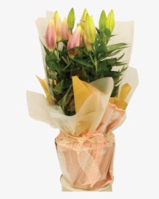 Lily Pot Gift Wrap 1600 1 - Bouquet, HD Png Download, Free Download