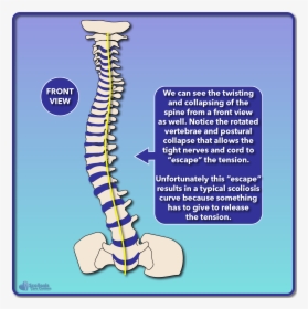 Diagram, HD Png Download, Free Download