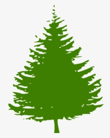 Pine, Tree, Christmas Tree, Green, Ecology, Environment - Green Pine Tree Silhouette, HD Png Download, Free Download