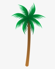 Vector Palm Tree Clip Art Trees Clipart Mylocalguide - Palm Tree Vector Png, Transparent Png, Free Download