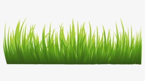 Grass Images Pictures Clipart - Grass Vector, HD Png Download, Free Download