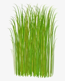 Jungle Grass Clipart - Grass Clipart, HD Png Download, Free Download