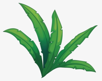 Jungle Plant Transparent - Transparent Jungle Plant Clip Art, HD Png Download, Free Download