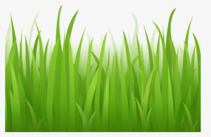 Grass Clipart Photo Gallery - Cartoon Grass No Background, HD Png Download, Free Download