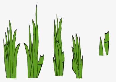 Sea Grass Clipart Jungle Grass - Grass Clip Art, HD Png Download, Free Download