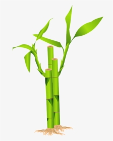 Bamboo, Grass, Japan, Jungle, Plant, Green - Bamboo Clipart, HD Png Download, Free Download